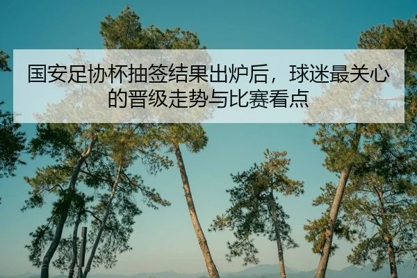 国安足协杯抽签结果出炉后，球迷最关心的晋级走势与比赛看点 | kaiyun